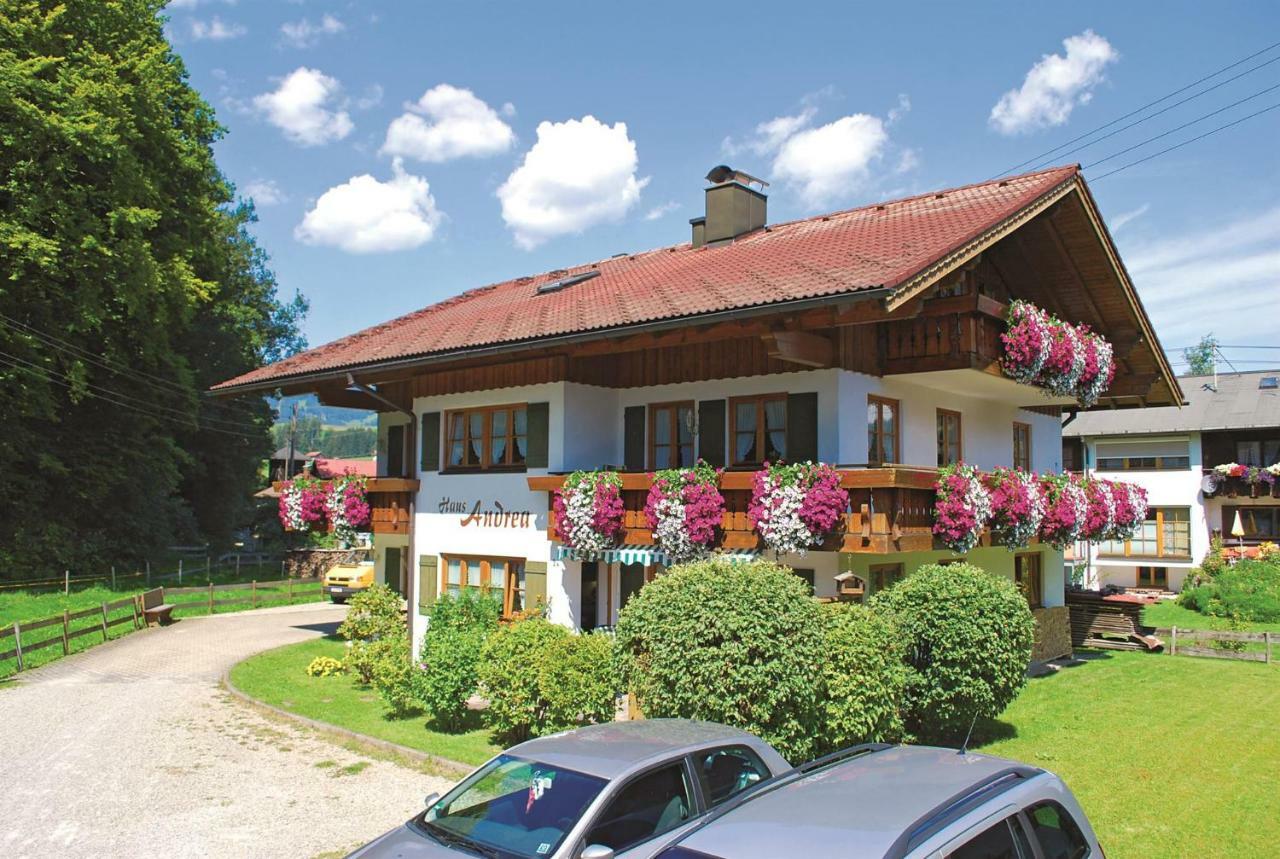 Апартаменти Haus Andrea Fischen im Allgaeu Екстер'єр фото